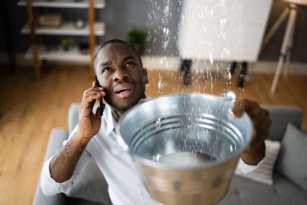 Best Water damage repair service  in Mayflower Village, CA
