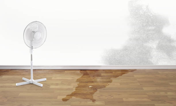 Best Water damage restoration near me  in Mayflower Village, CA